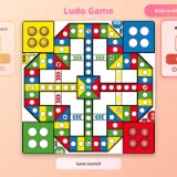 Ludo Game